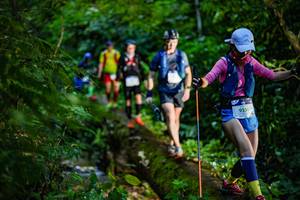 BIB: 9256
                            <button type="button" onclick="openModal(18922389)" class="btn btn-primary btn-sm float-right btn-popup" data-toggle="modal" data-target=".modal-high-quality">
                        <i class="fas fa-shopping-cart"></i> Add to Cart
                    </button>
                                            <button type="button" onclick="isThisMe(18922389, true)" class="btn btn-success btn-sm float-right btn-popup btn-isme hidden" data-toggle="tooltip" data-placement="bottom" title="นี่คือรูปของคุณใช่ไหม คลิกที่นี่เพื่อเอาเข้าอัลบั้ม">
                        <i class="fas fa-plus"></i> Add to album
                    </button>
                    <button type="button" onclick="isThisMe(18922389, false)" class="btn btn-warning btn-sm float-right btn-popup btn-isnotme hidden">
                        <i class="fas fa-ban"></i> Remove from album
                    </button>